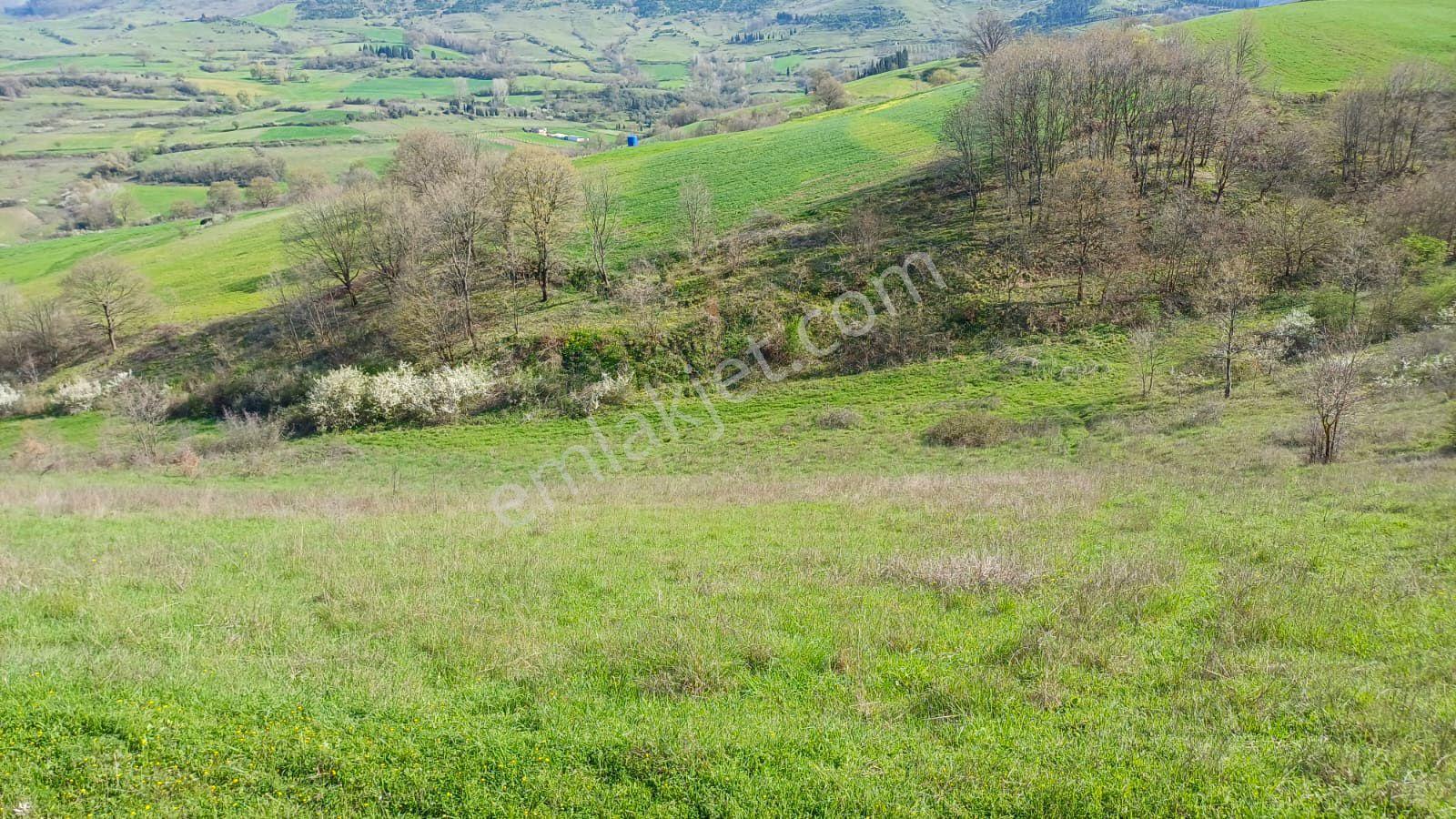 Uzmanlar'dan Kızderbent 6325 M2 %5 İmarlı Satılık Tarla - Görsel 6