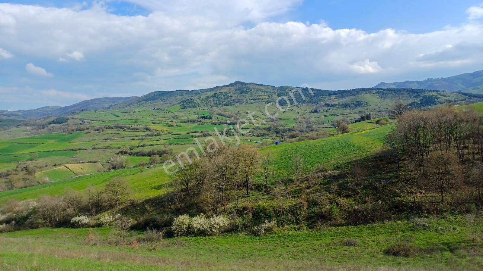 Uzmanlar'dan Kızderbent 6325 M2 %5 İmarlı Satılık Tarla - Görsel 2