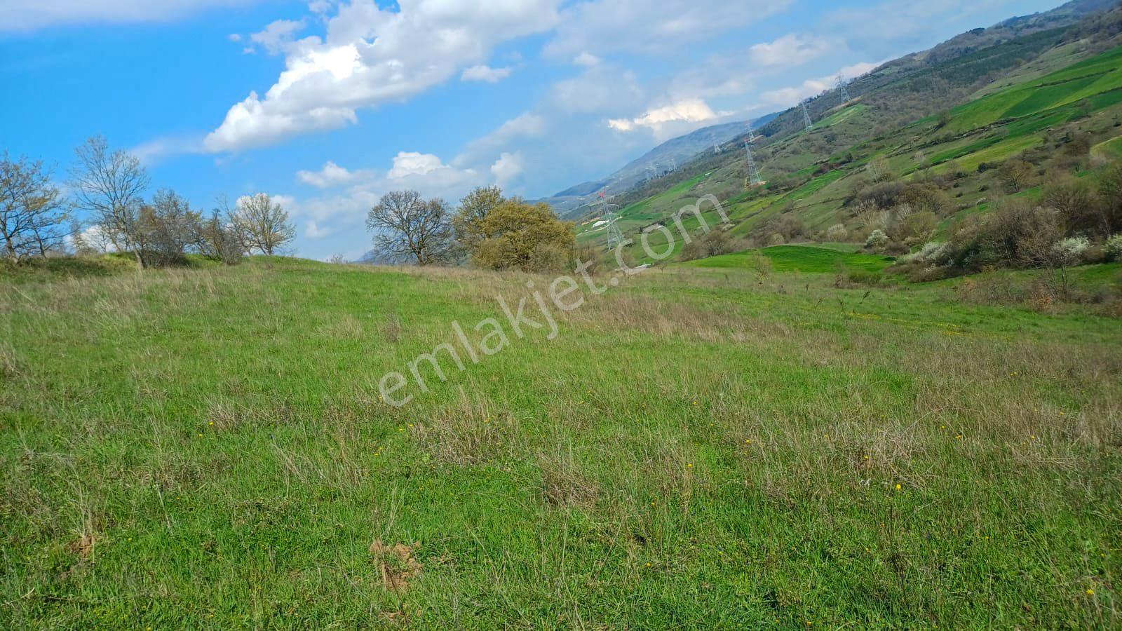 Uzmanlar'dan Kızderbent 6325 M2 %5 İmarlı Satılık Tarla - Görsel 8