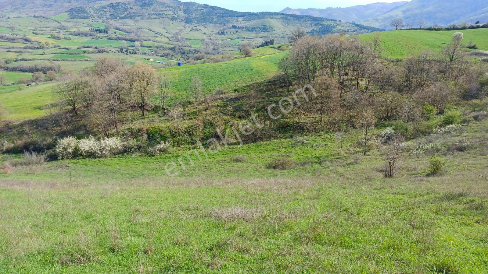 Uzmanlar'dan Kızderbent 6325 M2 %5 İmarlı Satılık Tarla - Görsel 11
