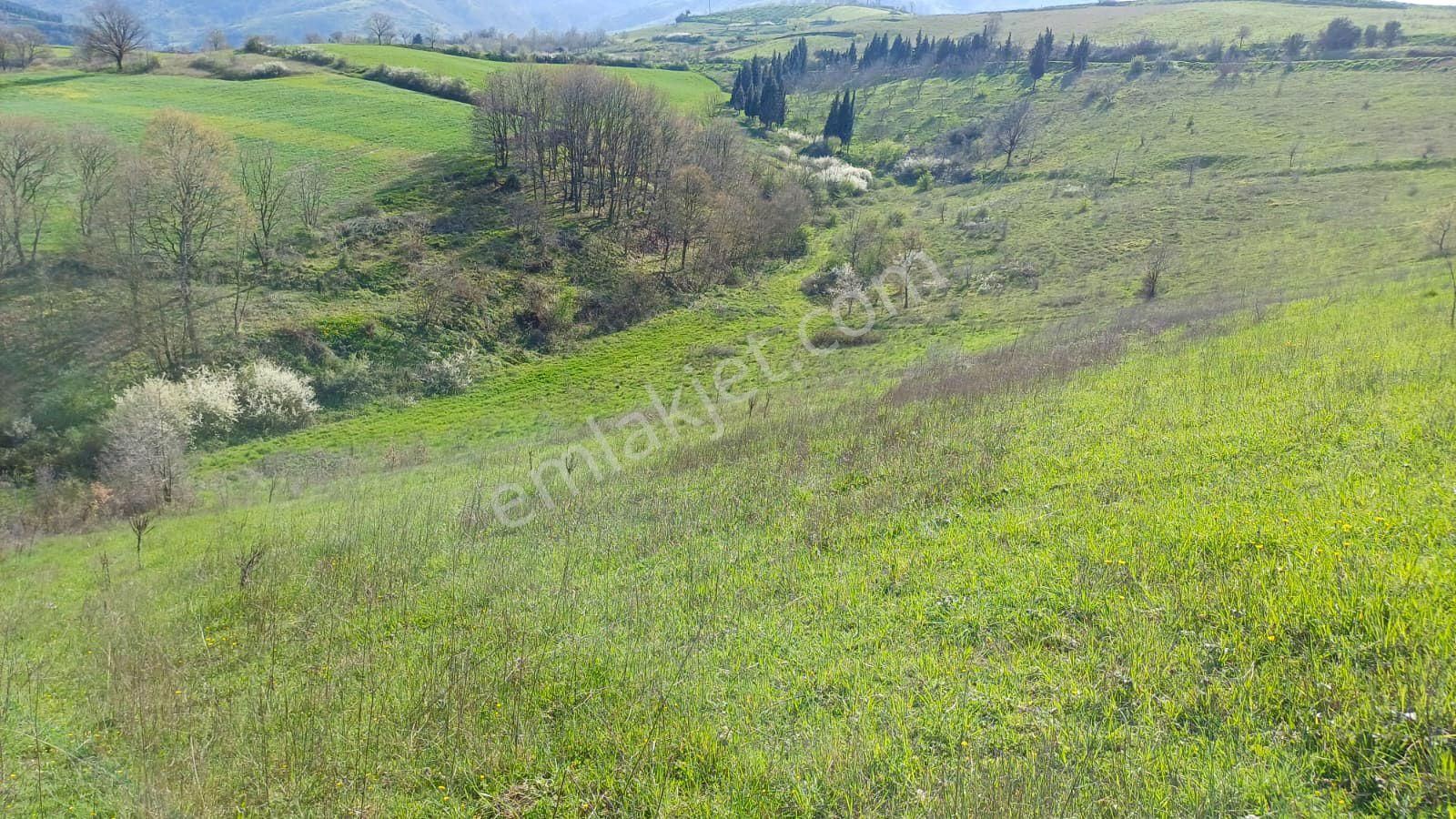 Uzmanlar'dan Kızderbent 6325 M2 %5 İmarlı Satılık Tarla - Görsel 9