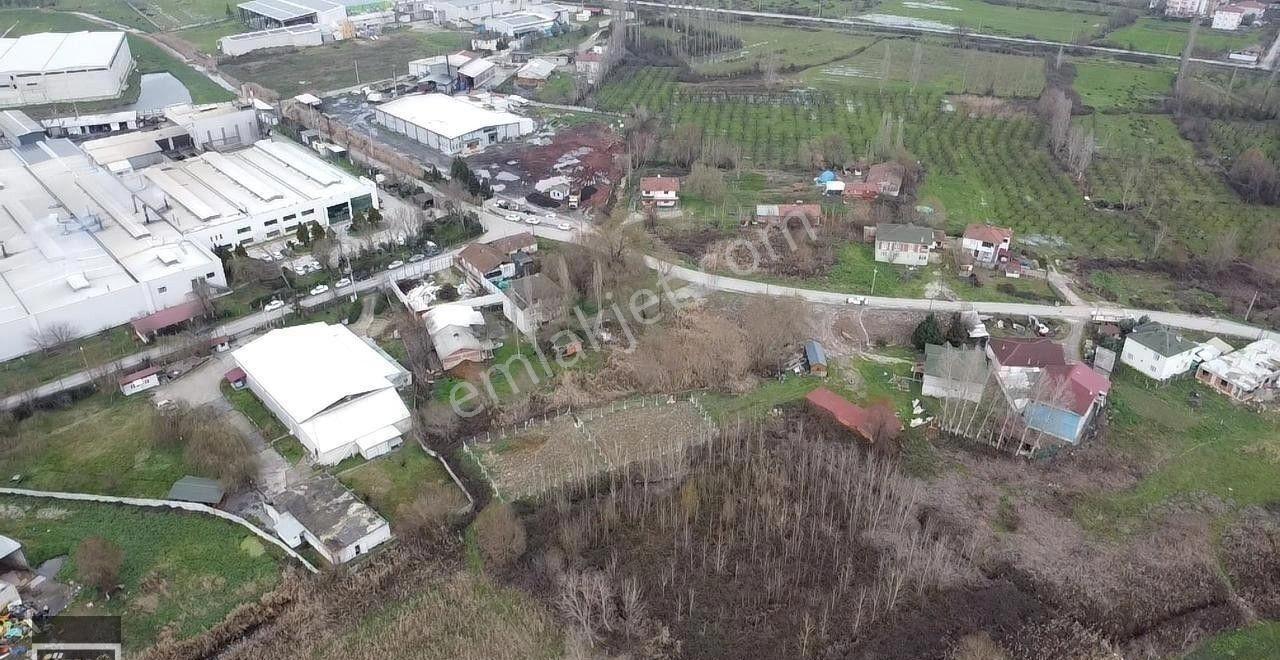 Geyve Merkezde Sanayi ,imarlı Yerimiz. - Görsel 2