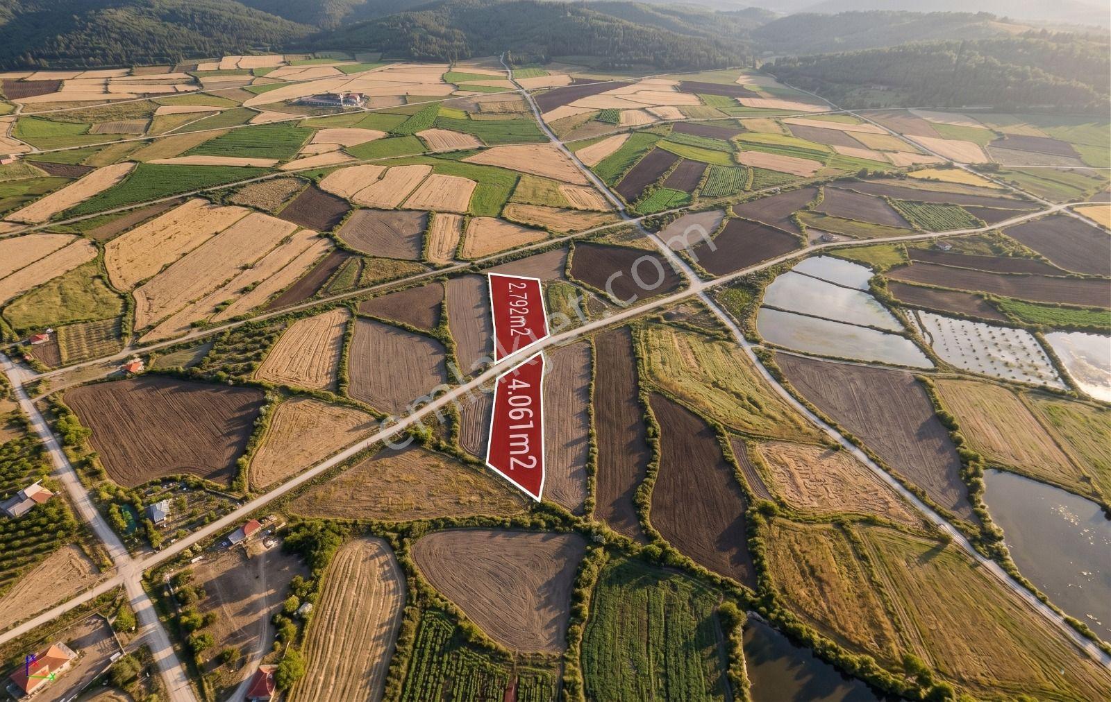 Erzincan Yaylabaşı Mevkii Yola 40 M Cephe 2793 M2 Sulu Tarla - Görsel 2