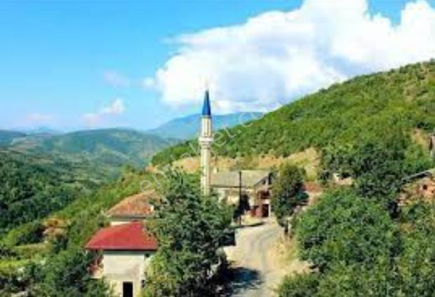 Kütahya Simav Hasanören 'de Satılık Tarla