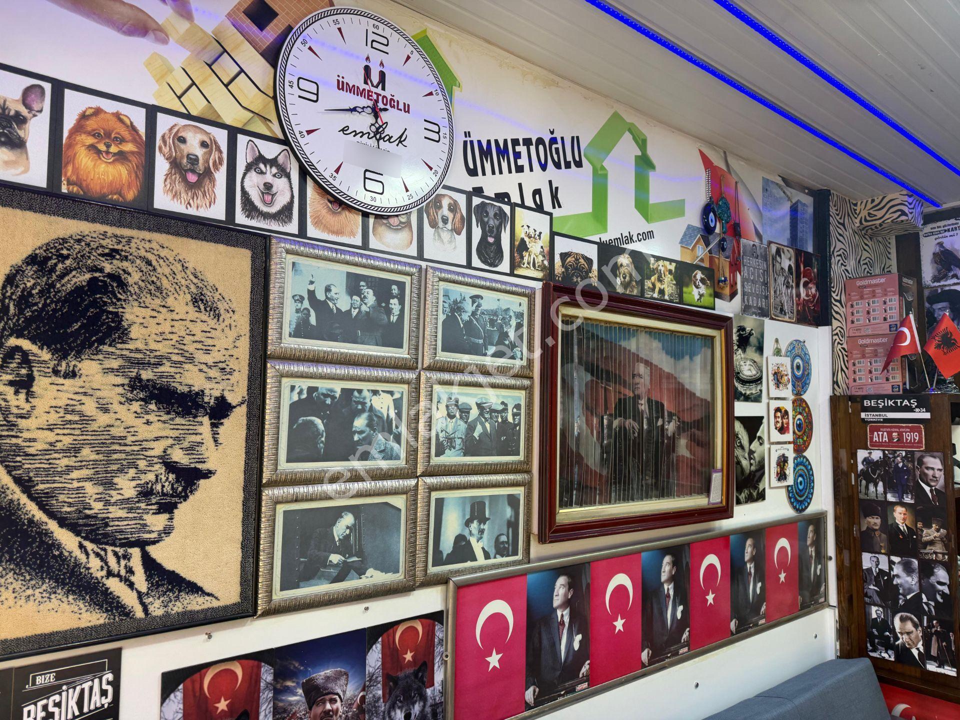 Dikili Ümmetoğlu Emlaktan Dikilide Fırsat Tarla! 8.464 M2 - Görsel 10