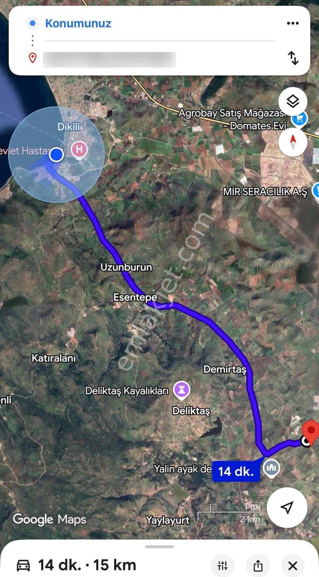 Dikili Ümmetoğlu Emlaktan Dikilide Fırsat Tarla! 8.464 M2 - Görsel 4