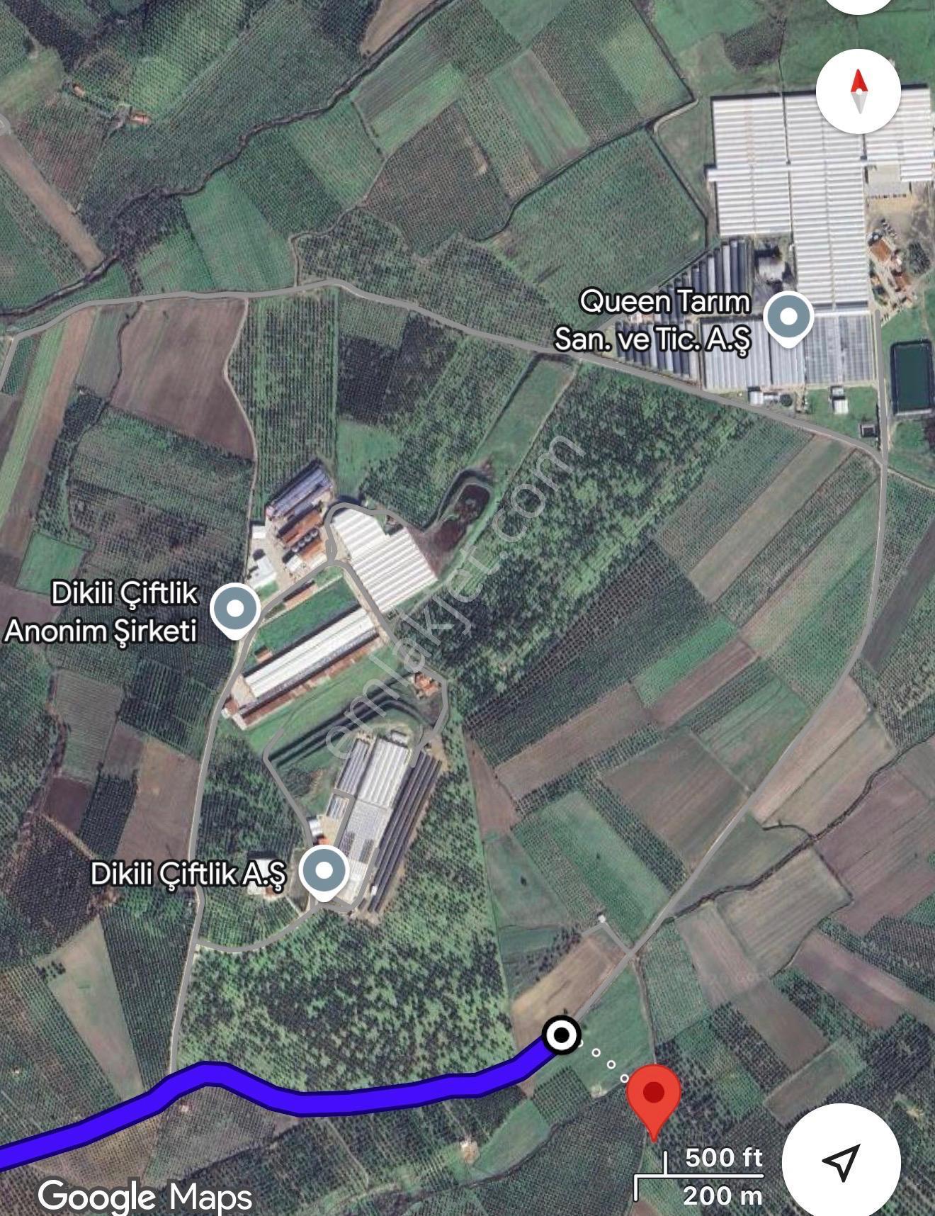 Dikili Ümmetoğlu Emlaktan Dikilide Fırsat Tarla! 8.464 M2 - Görsel 7