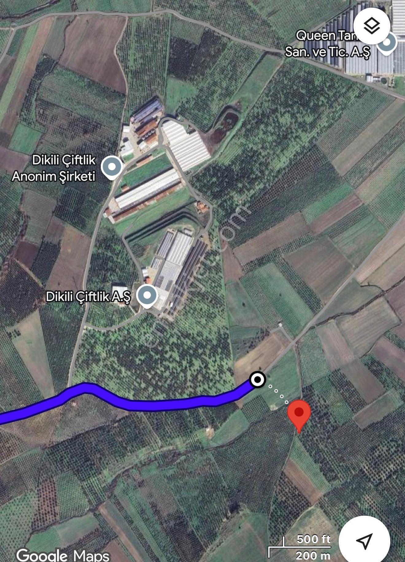 Dikili Ümmetoğlu Emlaktan Dikilide Fırsat Tarla! 8.464 M2 - Görsel 6