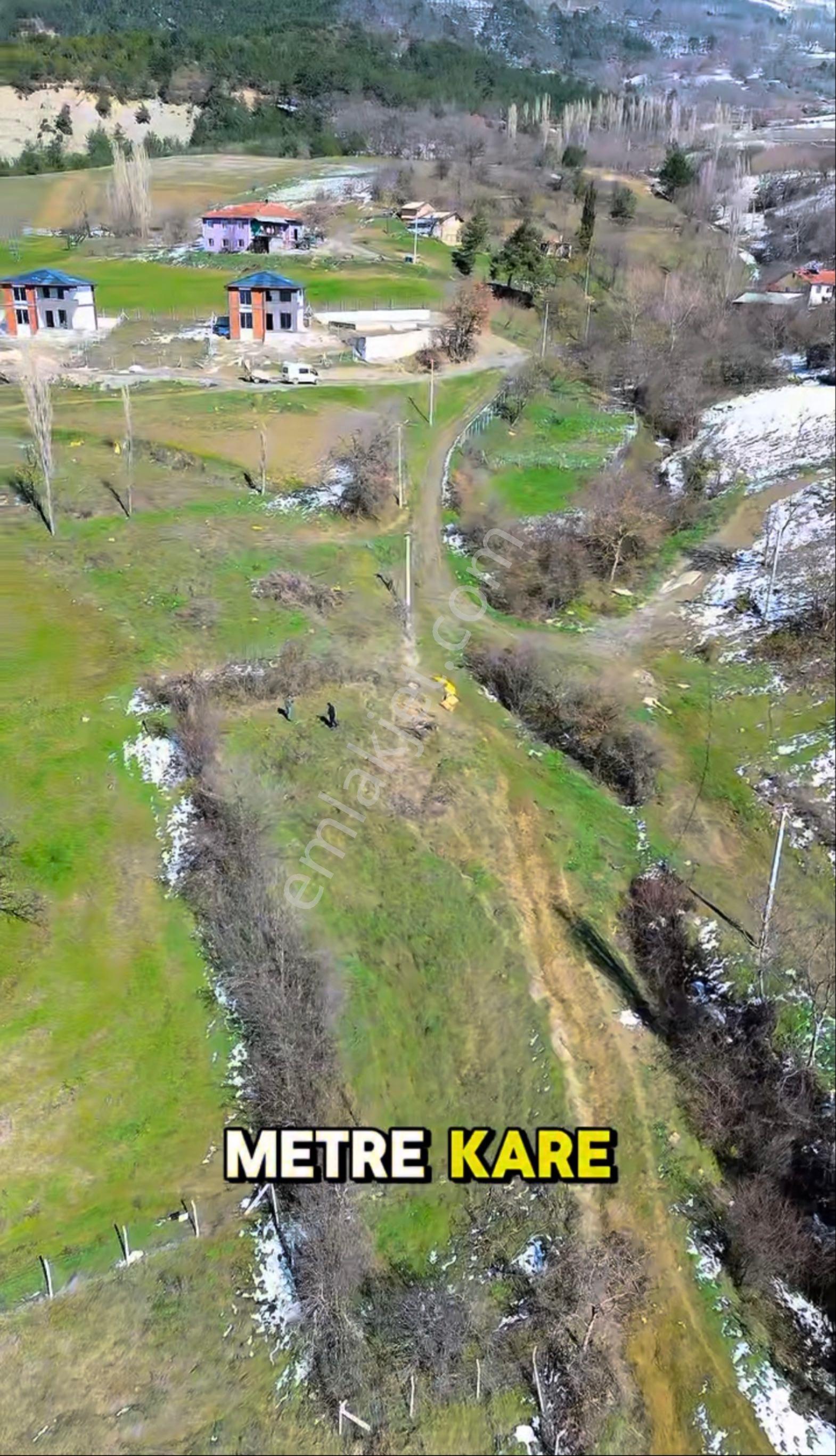 🌿 Sakarya / Geyve – Poydular’da Kaçırılmayacak Fırsat! 🌿 - Görsel 5