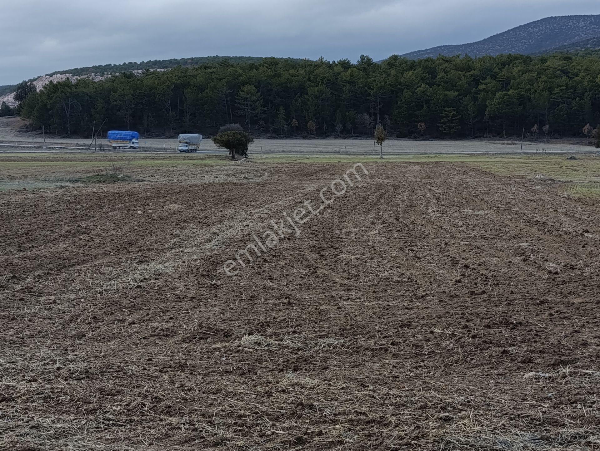 Kütahya Altıntaş Pınarcık Köyünde Bulunan Kelepir Arsa Ve Tarlalarımız - Görsel 28