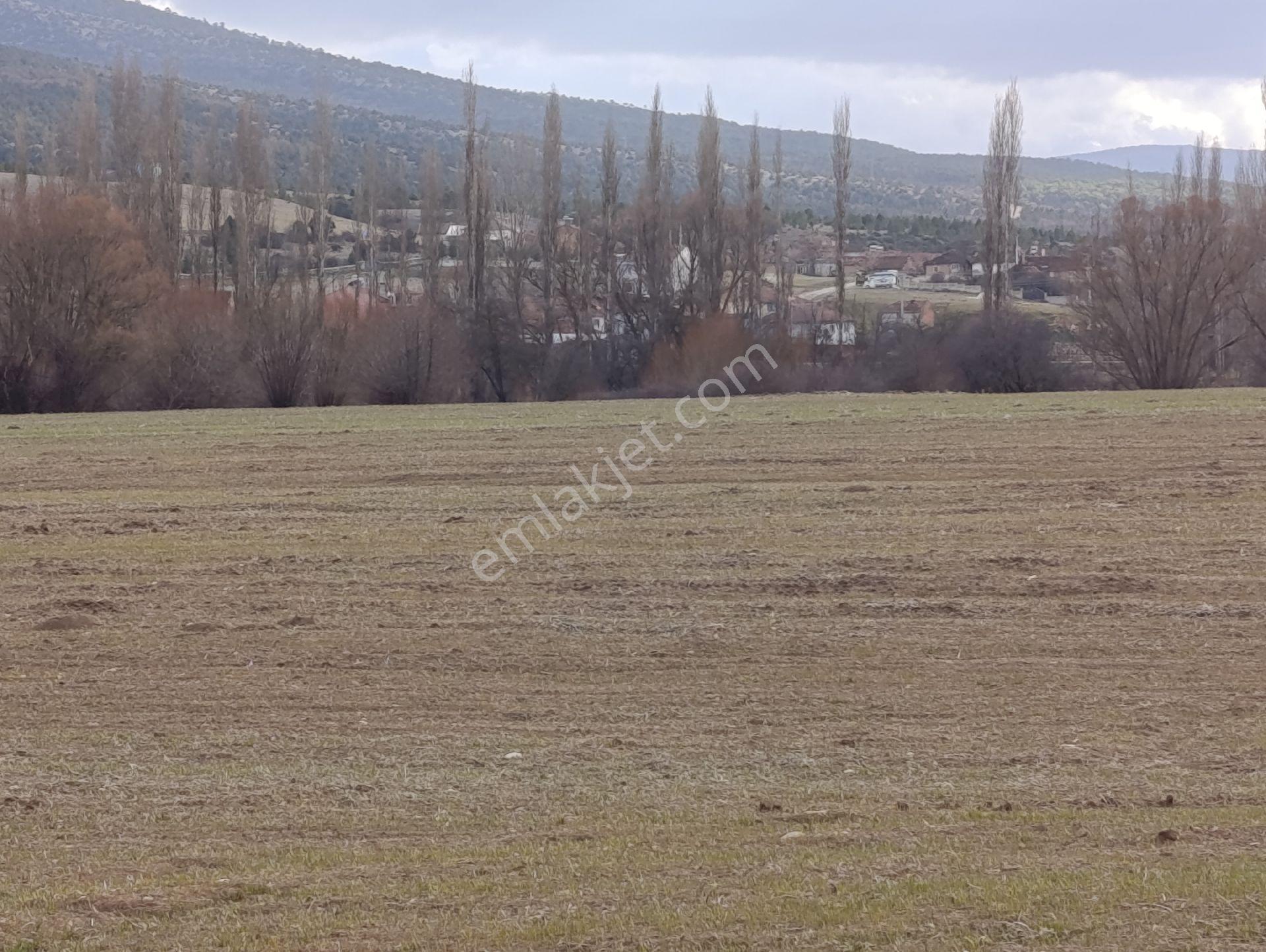 Kütahya Altıntaş Pınarcık Köyünde Bulunan Kelepir Arsa Ve Tarlalarımız - Görsel 35