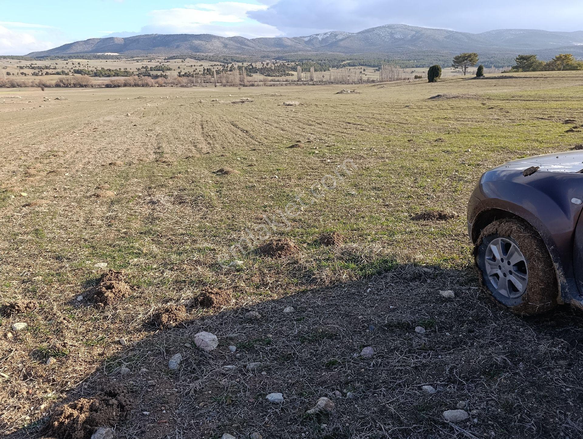 Kütahya Altıntaş Pınarcık Fırsat Tarla Arsa Arazi - Görsel 30