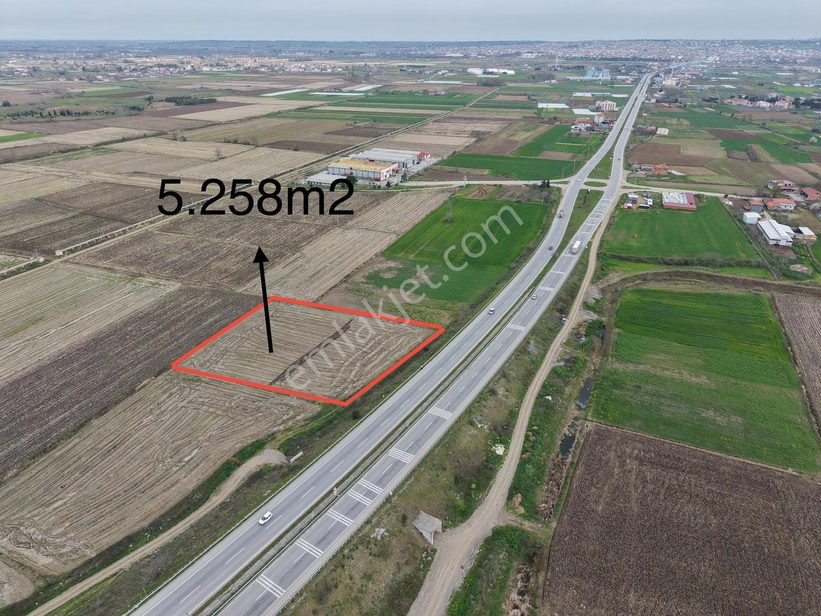 Bafra Vıp Gym.den Çetinkayada Anayola Cephe 5258m2 Satılık Tarla - Görsel 2
