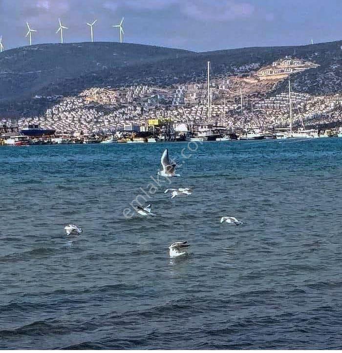 Didim De 2+1 Bahçe Katı - Görsel 35