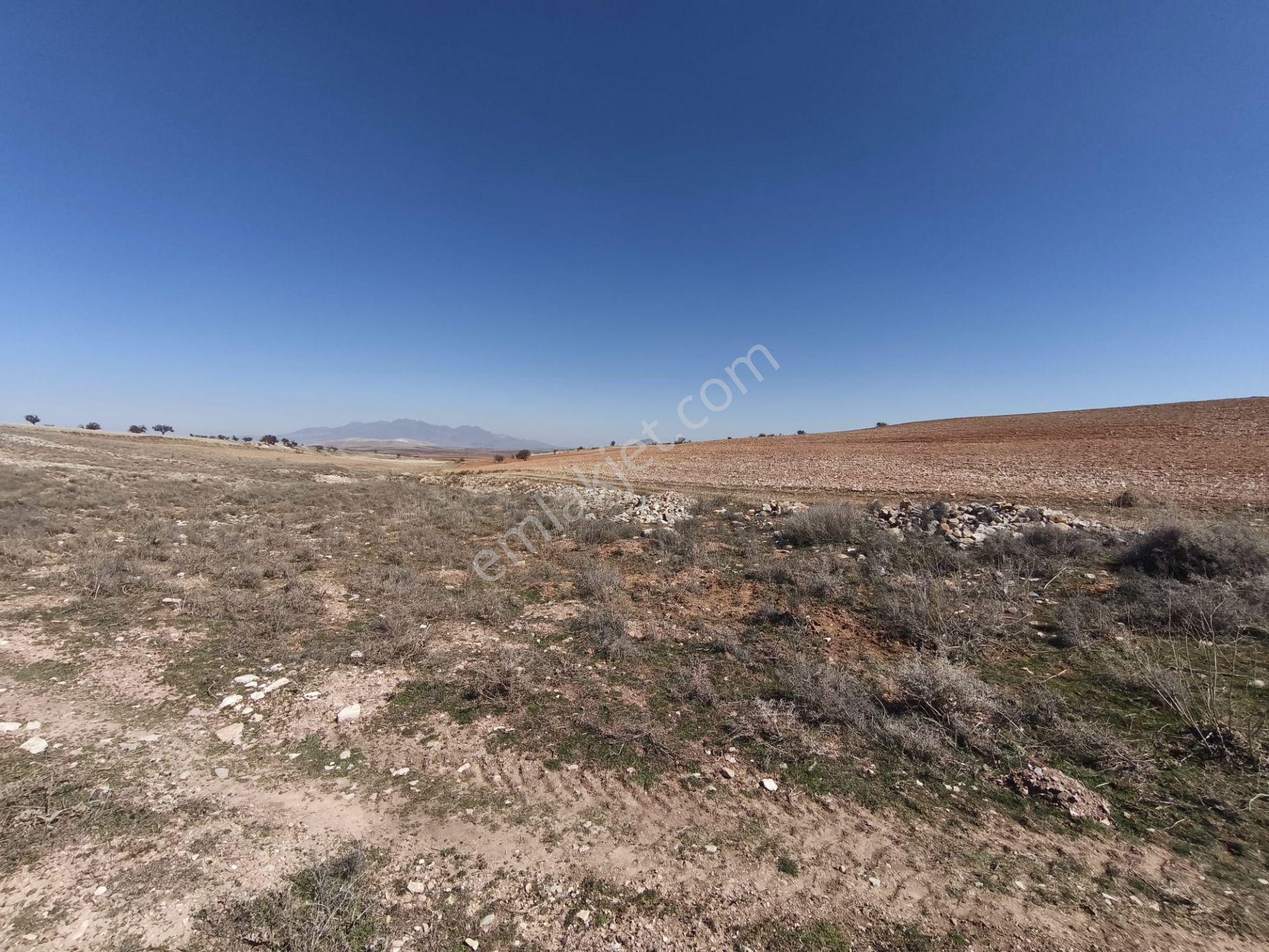 Karaman Kazımkarabekir Kadastro Yol Ve Müstakil Tapulu Tarla