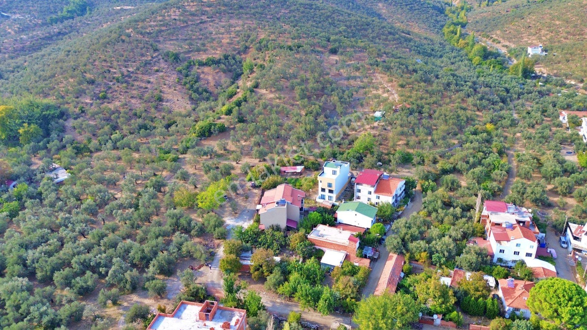 Uytundan Zeytinli Köyünde %30 İmarlı Köşe Parsel Satılık Arsa - Görsel 22