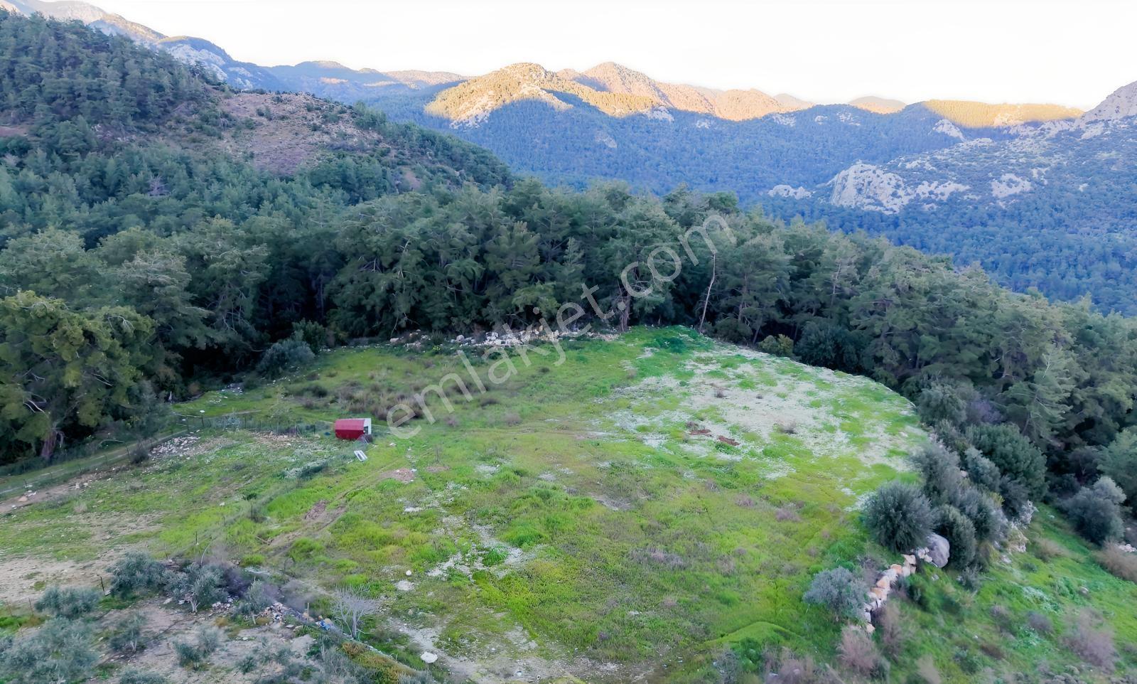 Eksper Den Yazır Da 2.120 M2 Olymposa Yakın Kaçmaz Fırsat Arazi! - Görsel 7