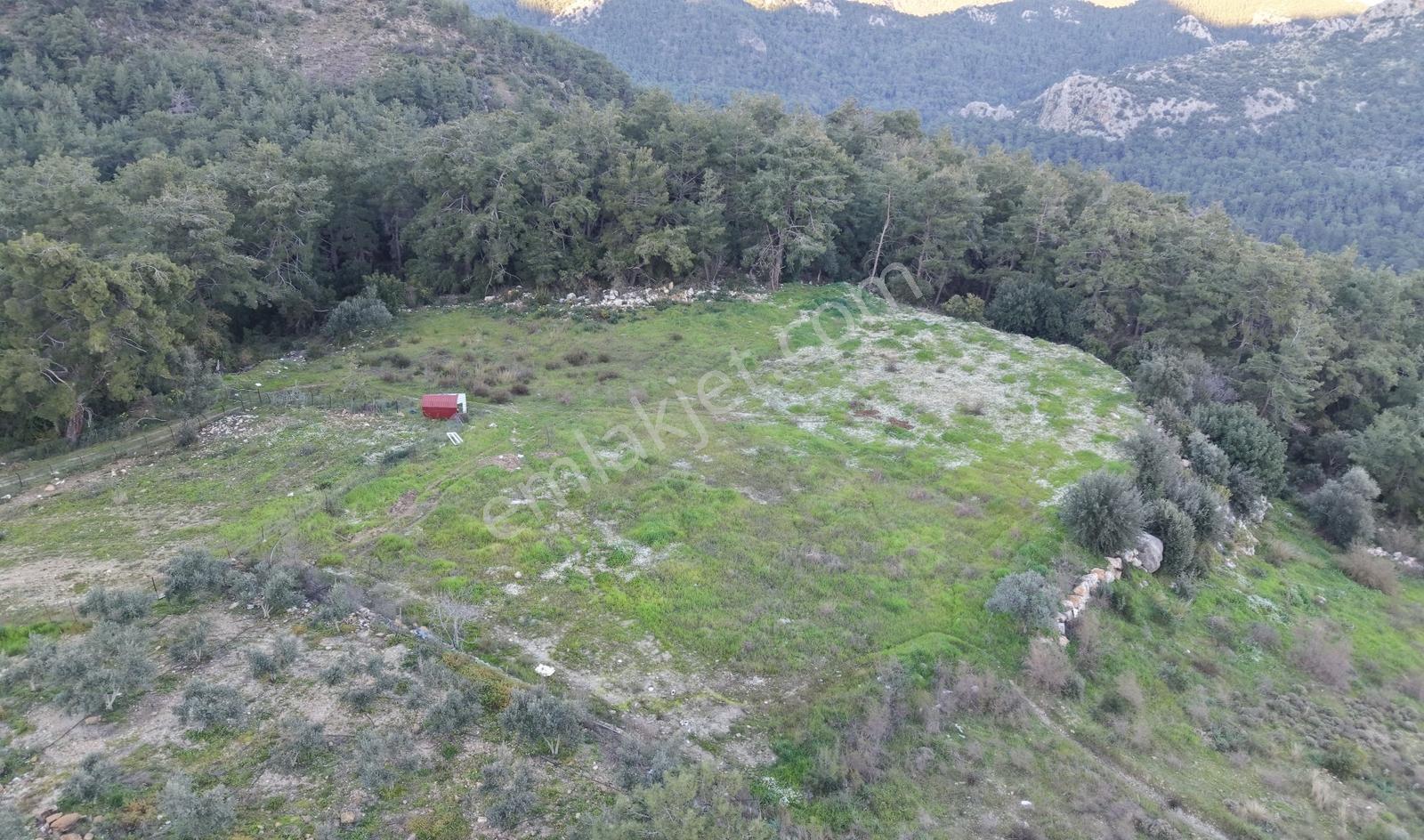 Eksper Den Yazır Da 2.120 M2 Olymposa Yakın Kaçmaz Fırsat Arazi! - Görsel 4