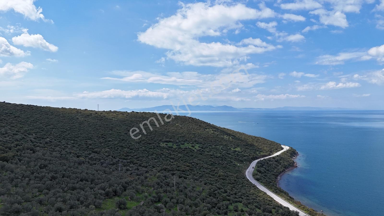 Realiva'dan Dikili Yahşibey'de Satılık Turizm Arsası - Görsel 10