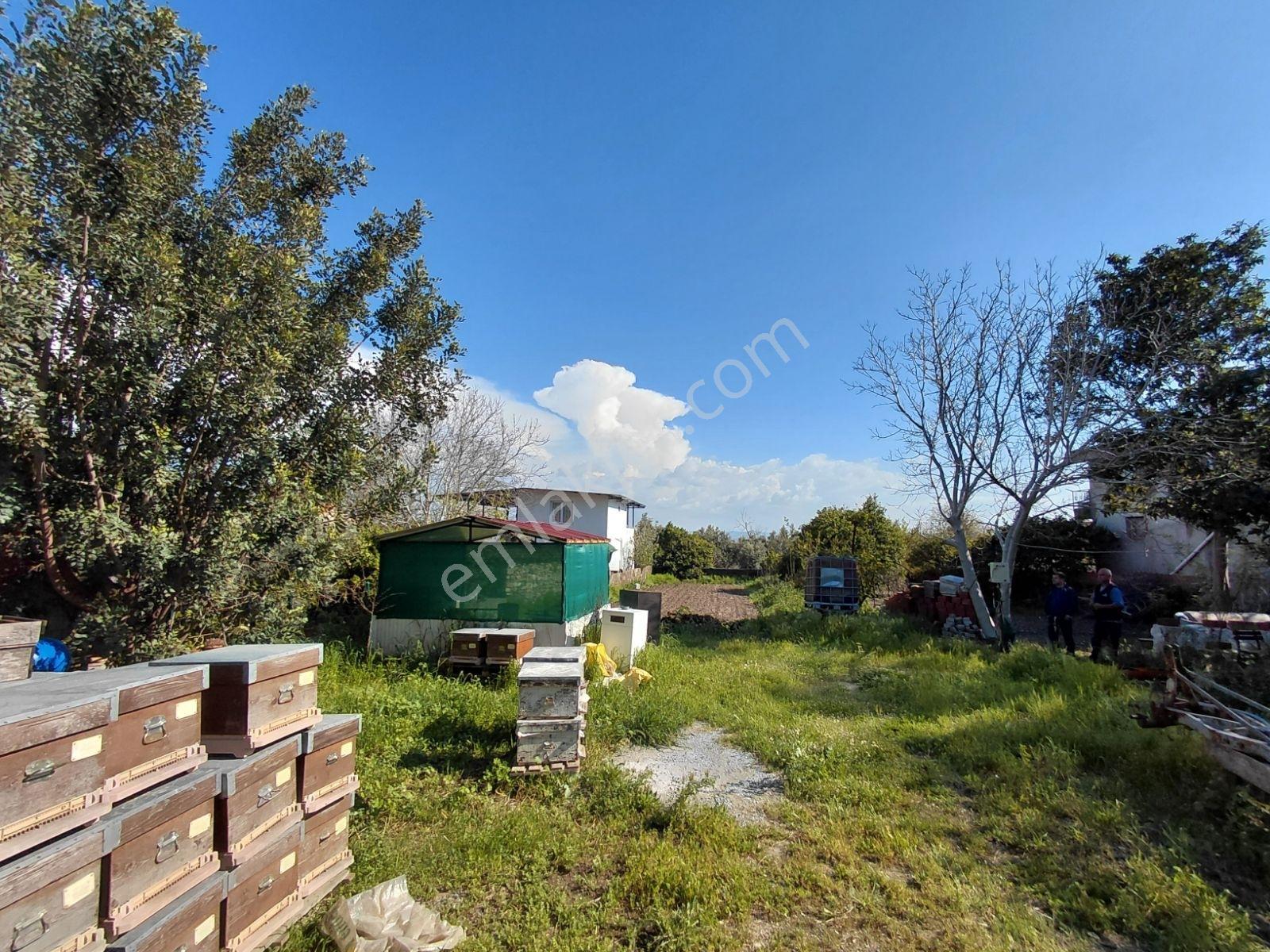 Yuvaca Köyünde Kacırılmayacak Arsa - Görsel 8