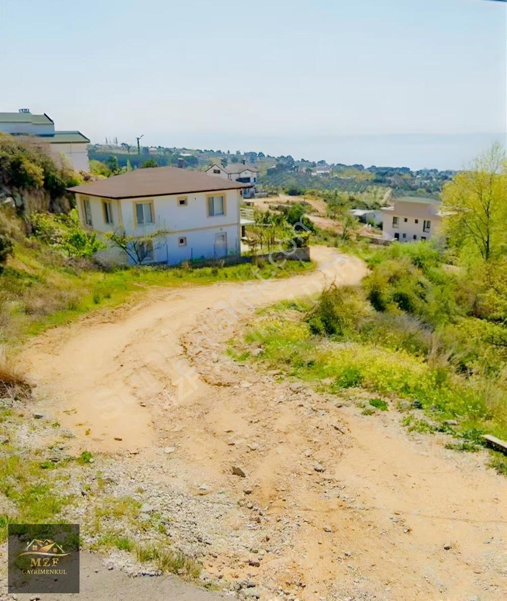 Yalova Armutlu Mecidiye Mahallesinde Satılık Villa İmarlı Arsa - Görsel 5