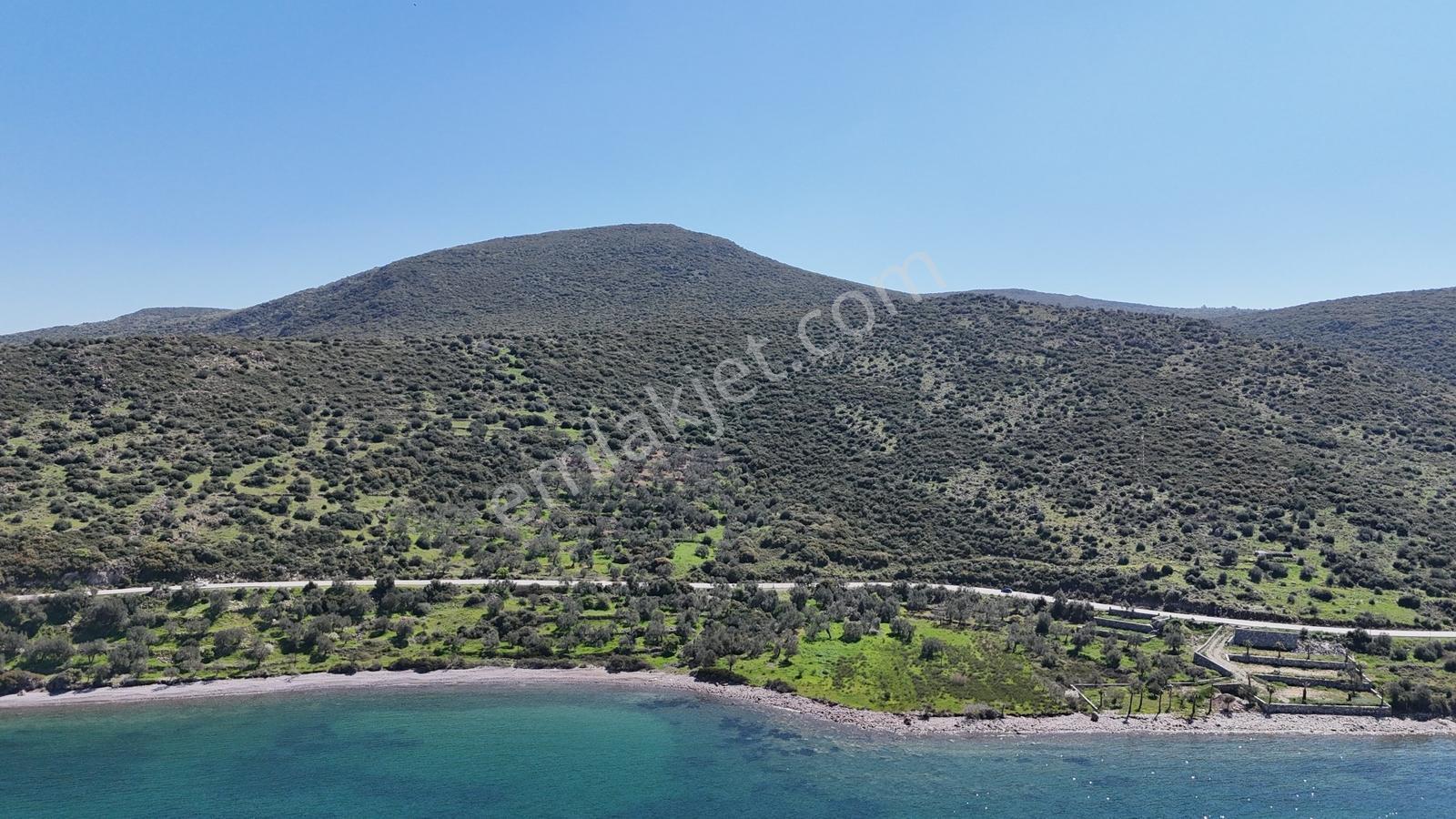 Realiva'dan Dikili Yahşibey'de Satılık Turizm Arsası - Görsel 7