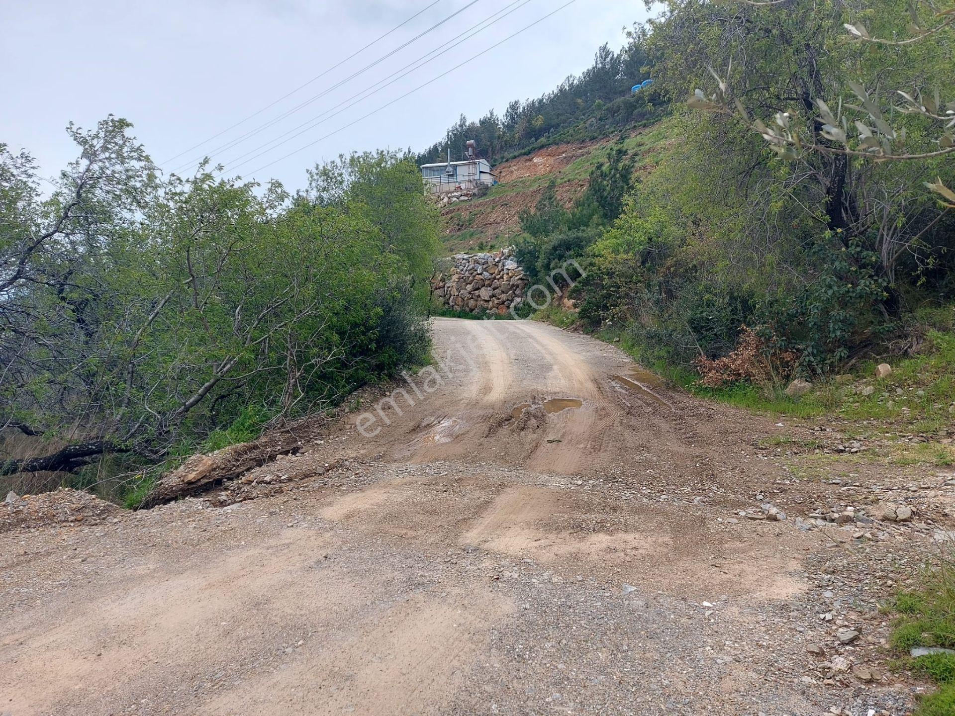 Anamur Kızılaliler Mahallesi Karnıeğri'de Müstakil 2 Adet Satılık Tarla - Görsel 28