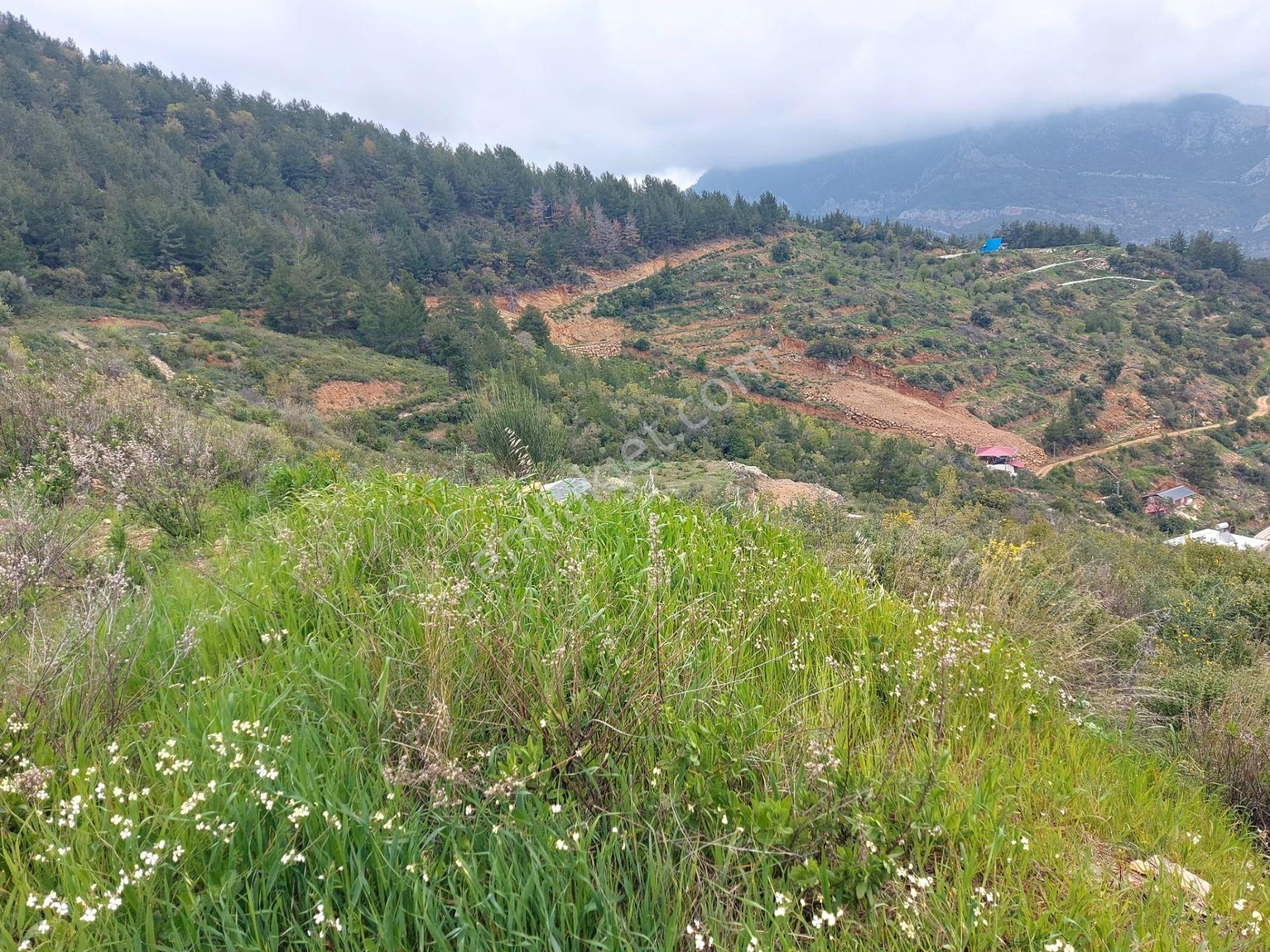 Anamur Kızılaliler Mahallesi Karnıeğri'de Müstakil 2 Adet Satılık Tarla - Görsel 10