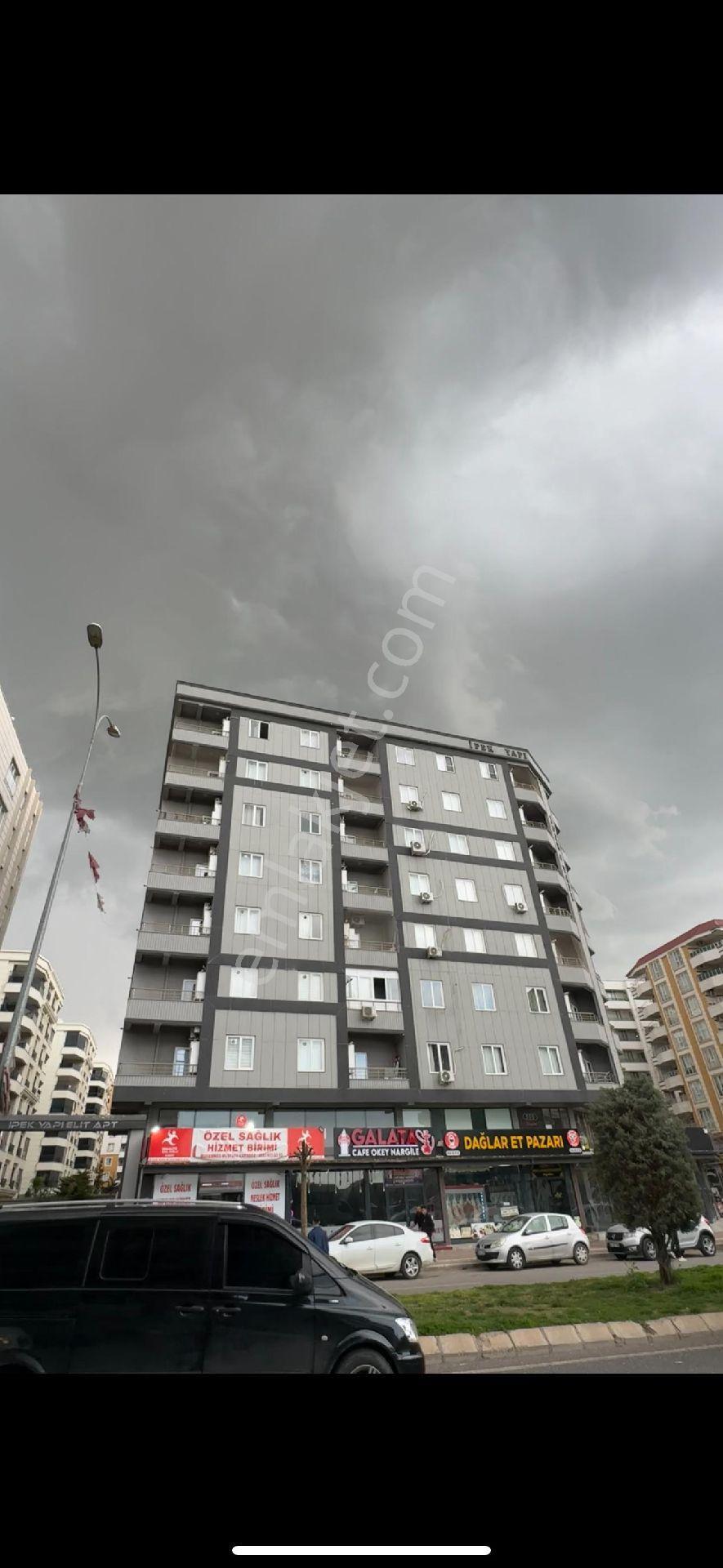 Doğu Emlak'tan Kiralık - Görsel 2