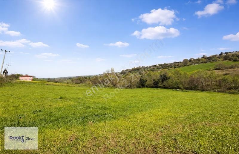 Yalova Çiftlikköy Gacık'ta 4628 M² Satılık Arsa - Görsel 3