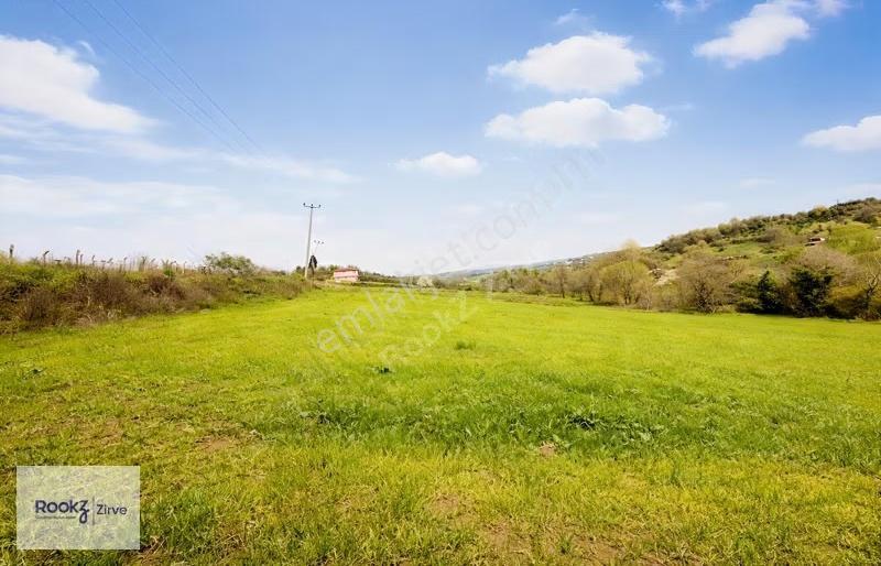 Yalova Çiftlikköy Gacık'ta 4628 M² Satılık Arsa - Görsel 5