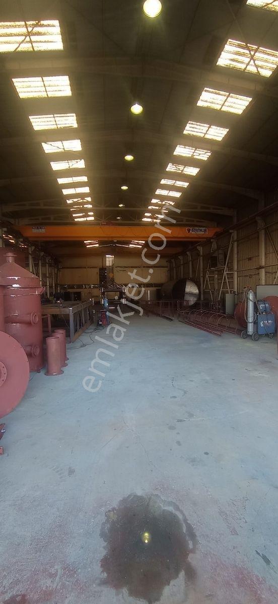 Arifiye Y.kirazca 2 Vinç+250 Kw 1000 M2 Fabrika+1000 M² Açık - Görsel 2