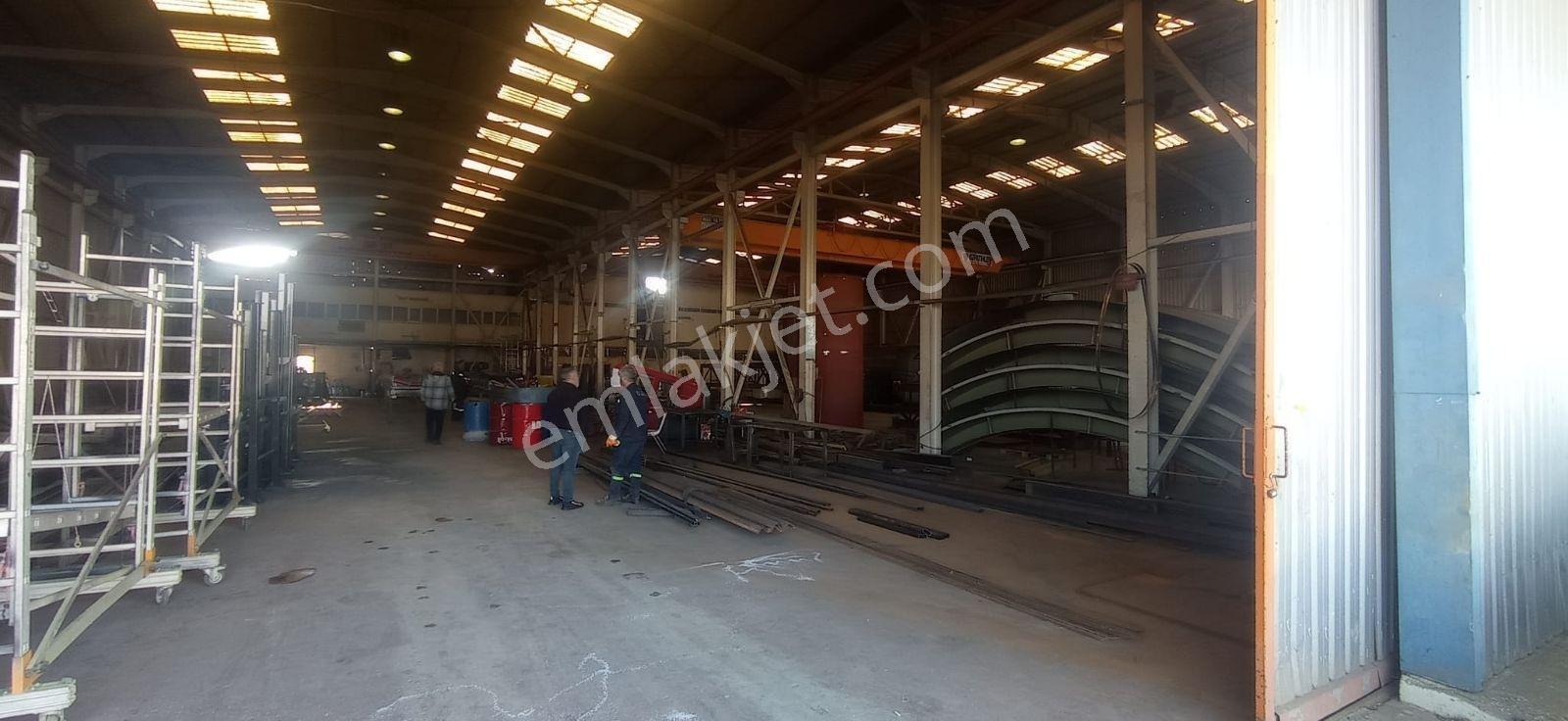 Arifiye Y.kirazca 2 Vinç+250 Kw 1000 M2 Fabrika+1000 M² Açık