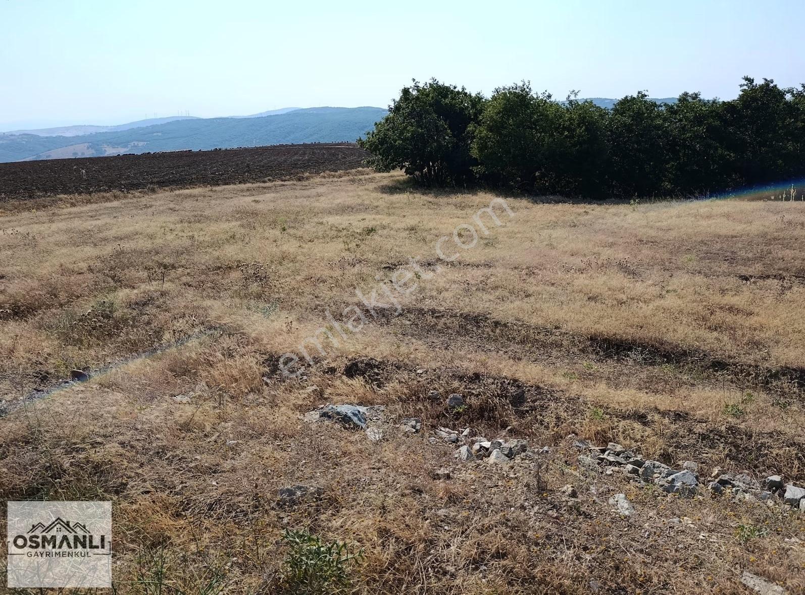 Asfalt Kenrarı, Doğa İçerisinde,4.200 M2 Satılık Arazi - Görsel 13