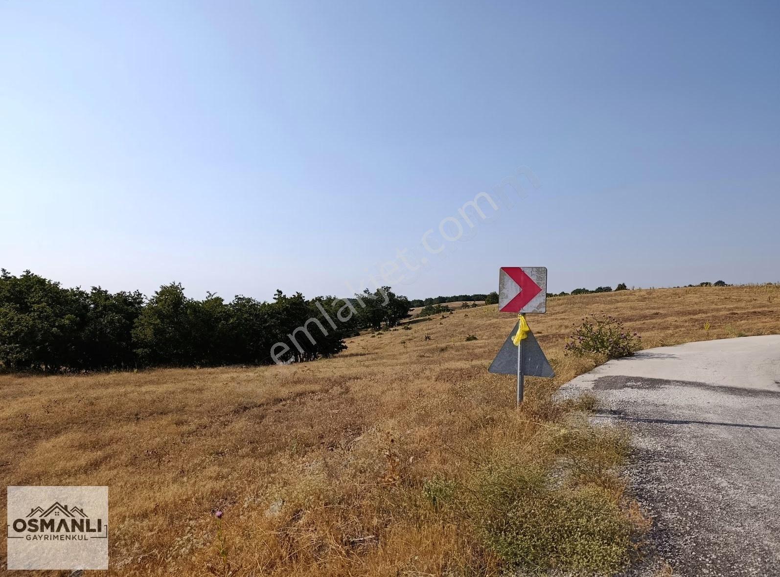 Asfalt Kenrarı, Doğa İçerisinde,4.200 M2 Satılık Arazi - Görsel 6