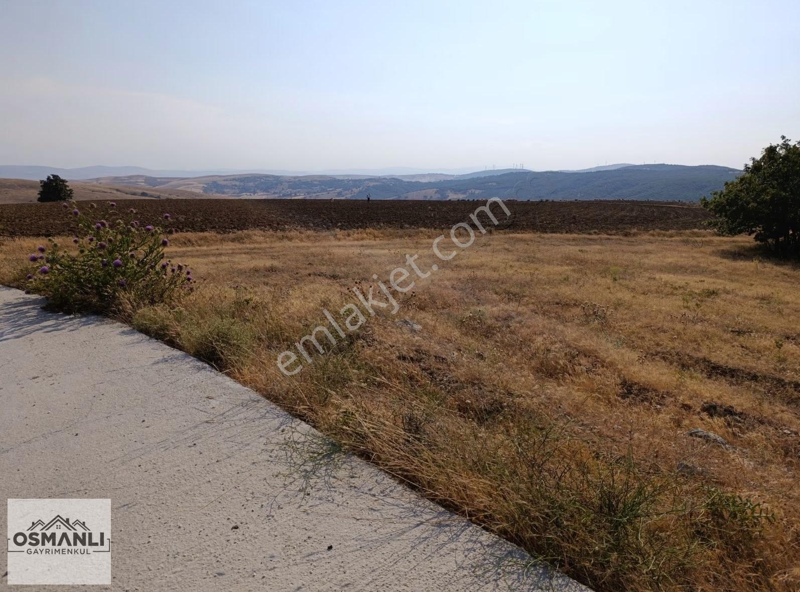 Asfalt Kenrarı, Doğa İçerisinde,4.200 M2 Satılık Arazi - Görsel 14