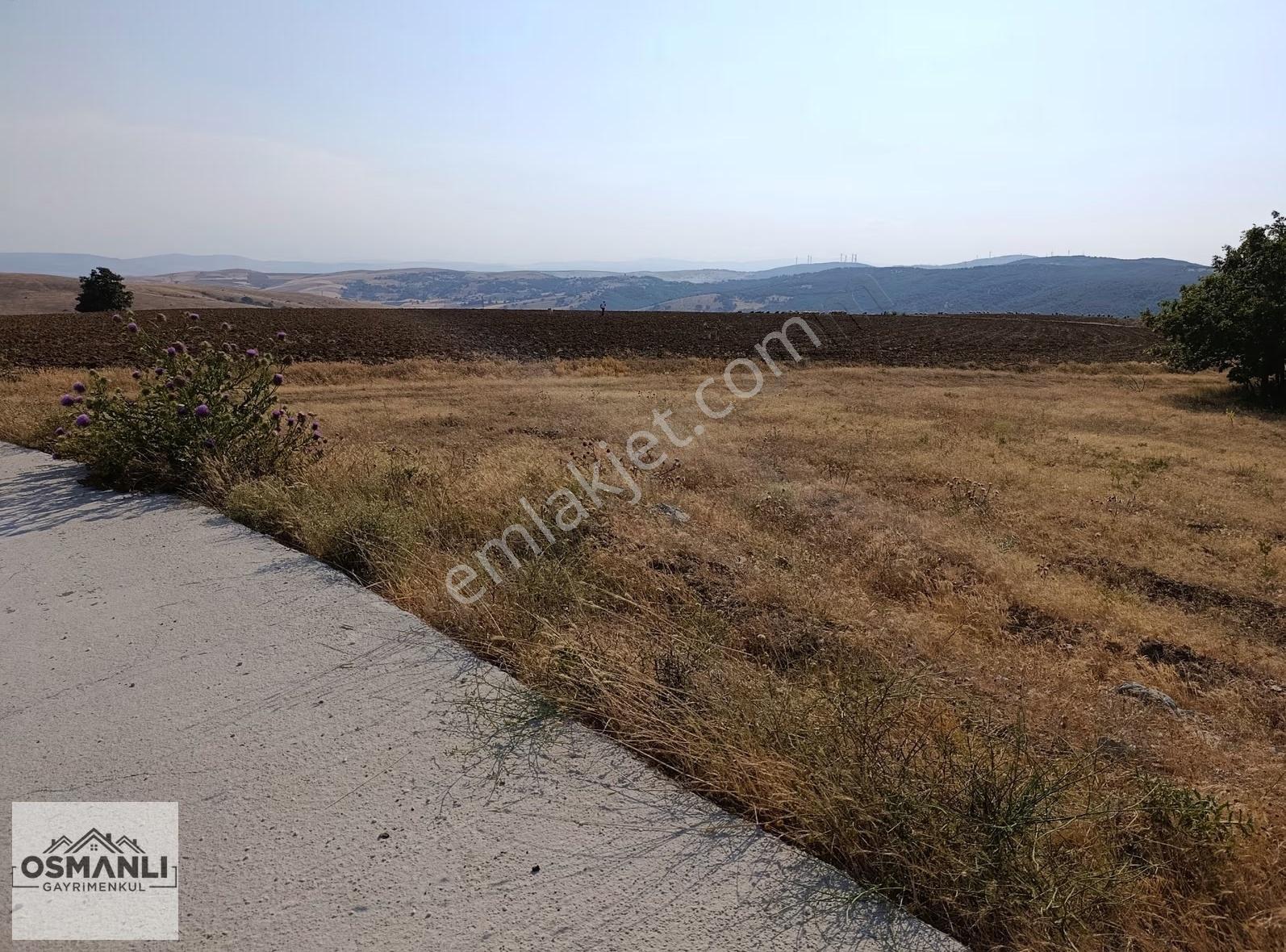 Asfalt Kenrarı, Doğa İçerisinde,4.200 M2 Satılık Arazi - Görsel 3
