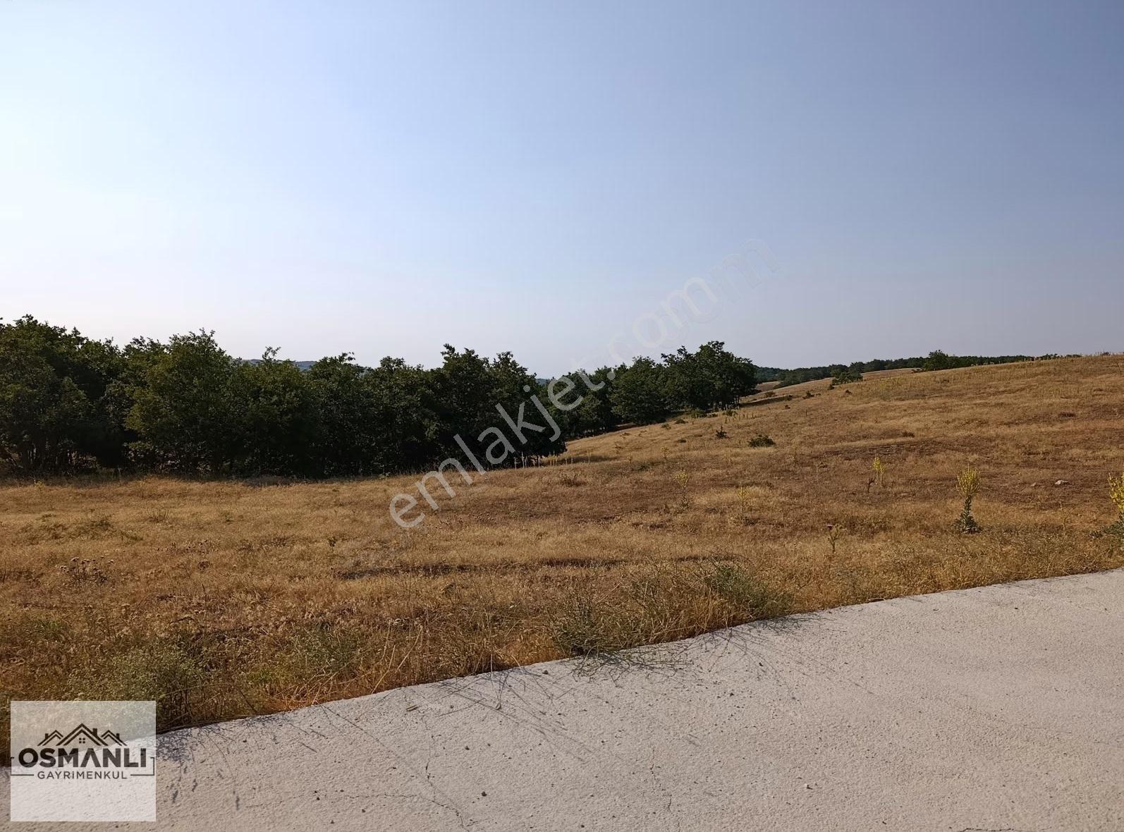 Asfalt Kenrarı, Doğa İçerisinde,4.200 M2 Satılık Arazi - Görsel 12
