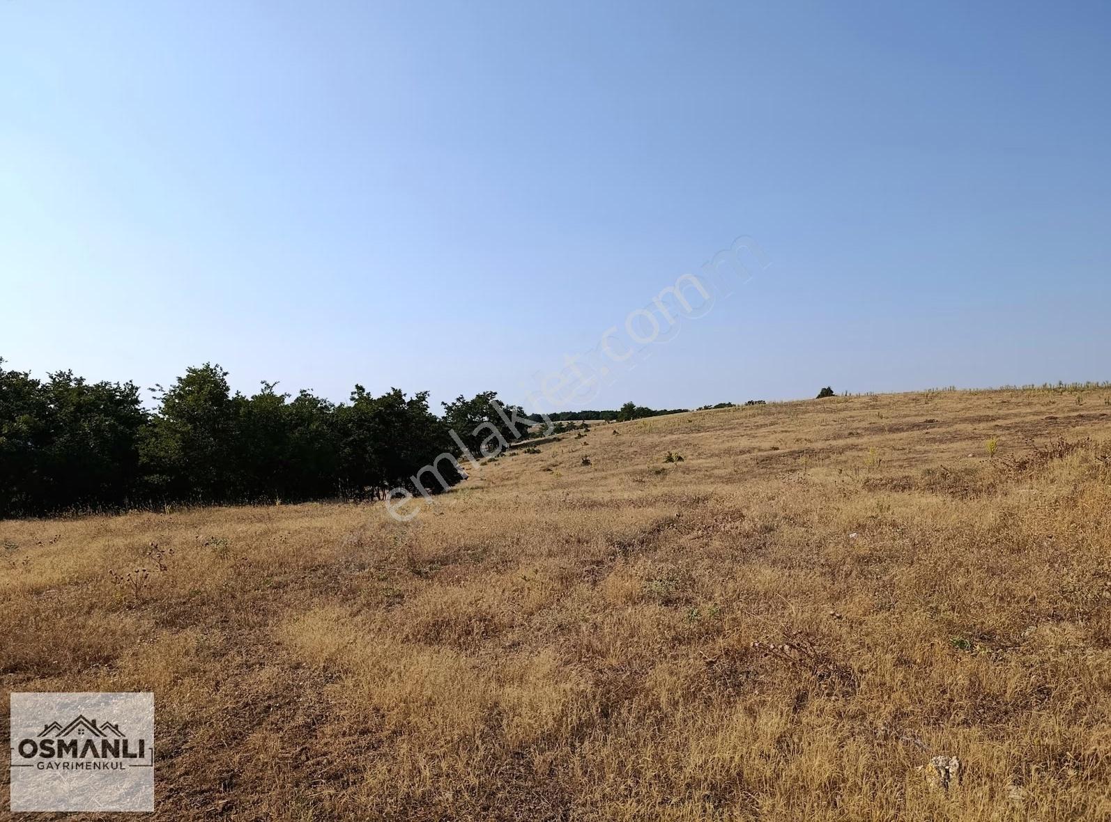 Asfalt Kenrarı, Doğa İçerisinde,4.200 M2 Satılık Arazi - Görsel 11