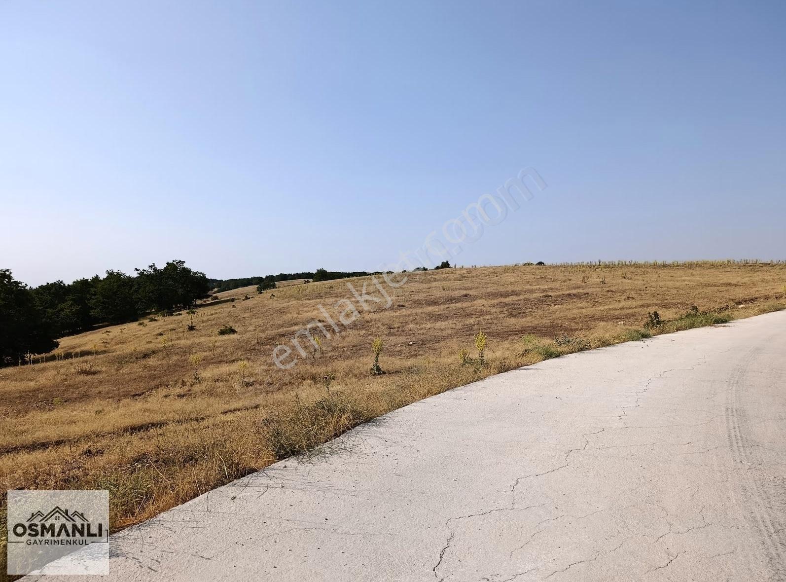 Asfalt Kenrarı, Doğa İçerisinde,4.200 M2 Satılık Arazi - Görsel 27