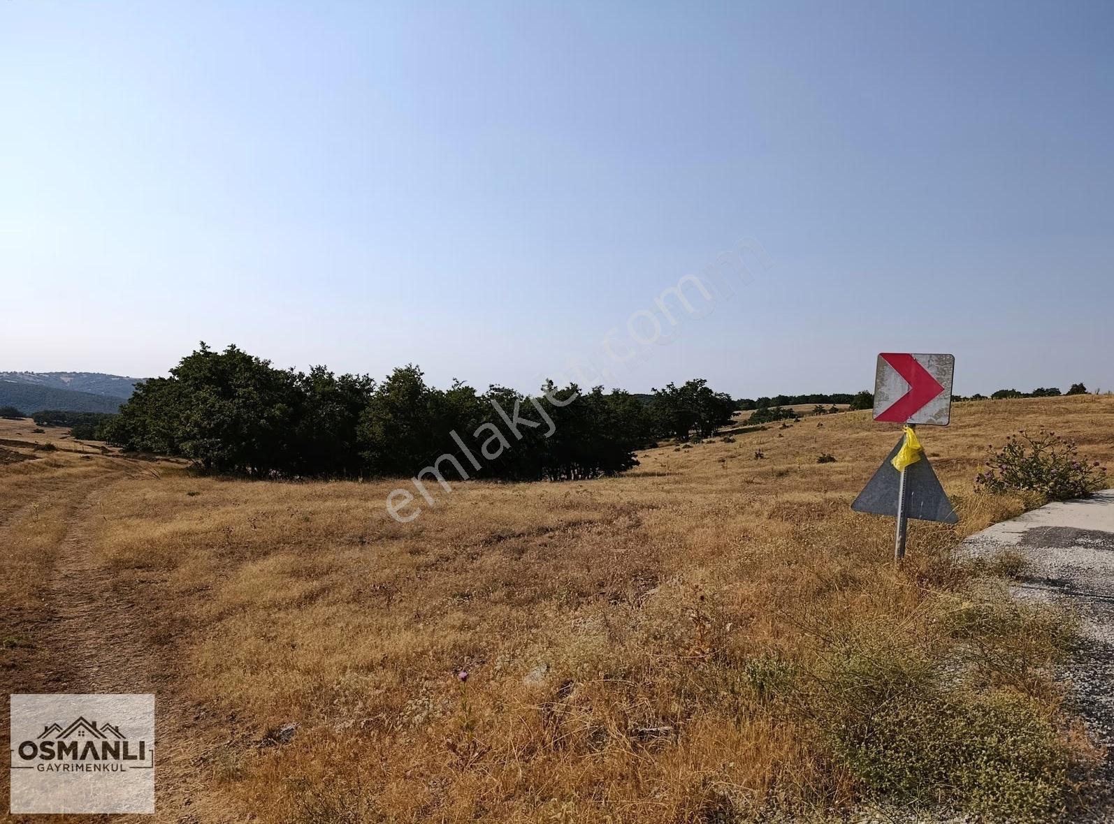 Asfalt Kenrarı, Doğa İçerisinde,4.200 M2 Satılık Arazi - Görsel 23