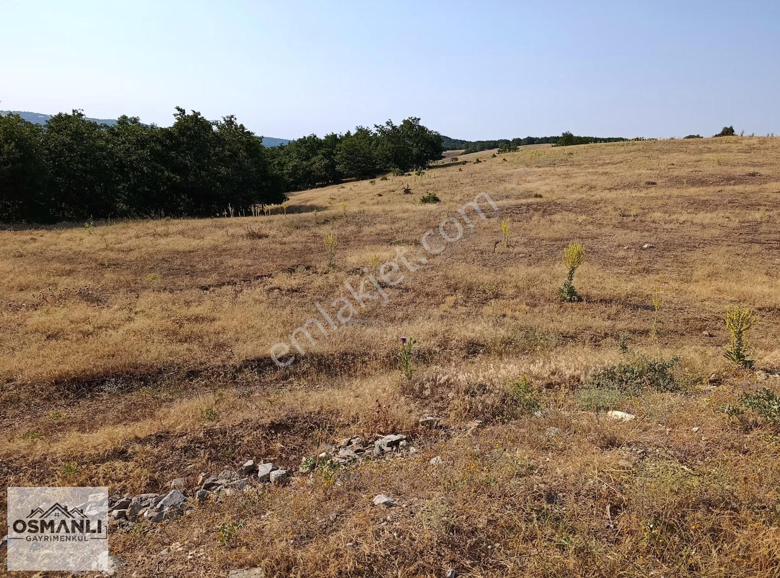 Asfalt Kenrarı, Doğa İçerisinde,4.200 M2 Satılık Arazi - Görsel 26