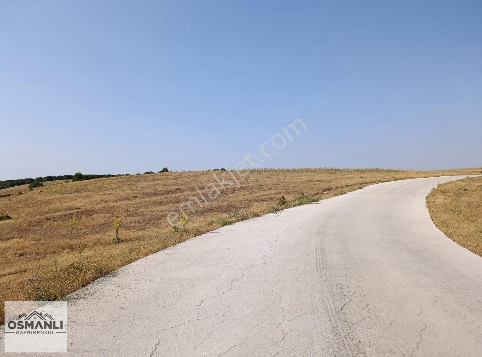 Asfalt Kenrarı, Doğa İçerisinde,4.200 M2 Satılık Arazi - Görsel 20