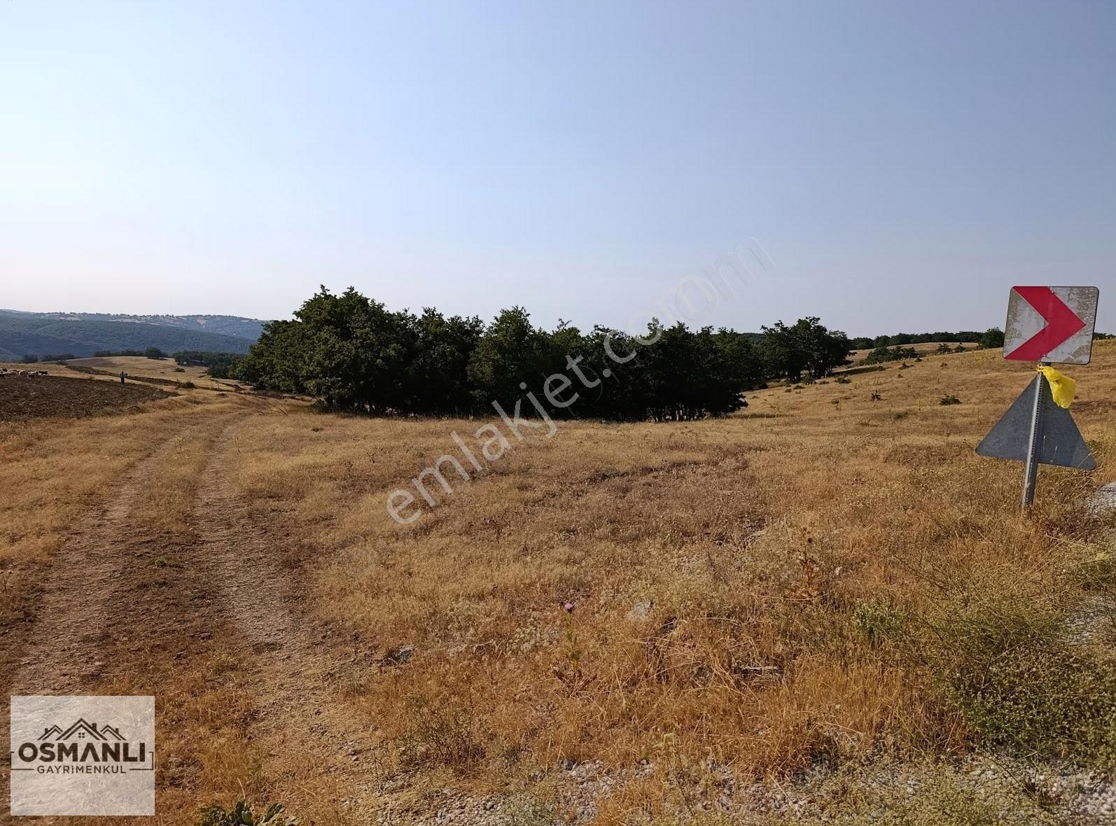 Asfalt Kenrarı, Doğa İçerisinde,4.200 M2 Satılık Arazi - Görsel 7