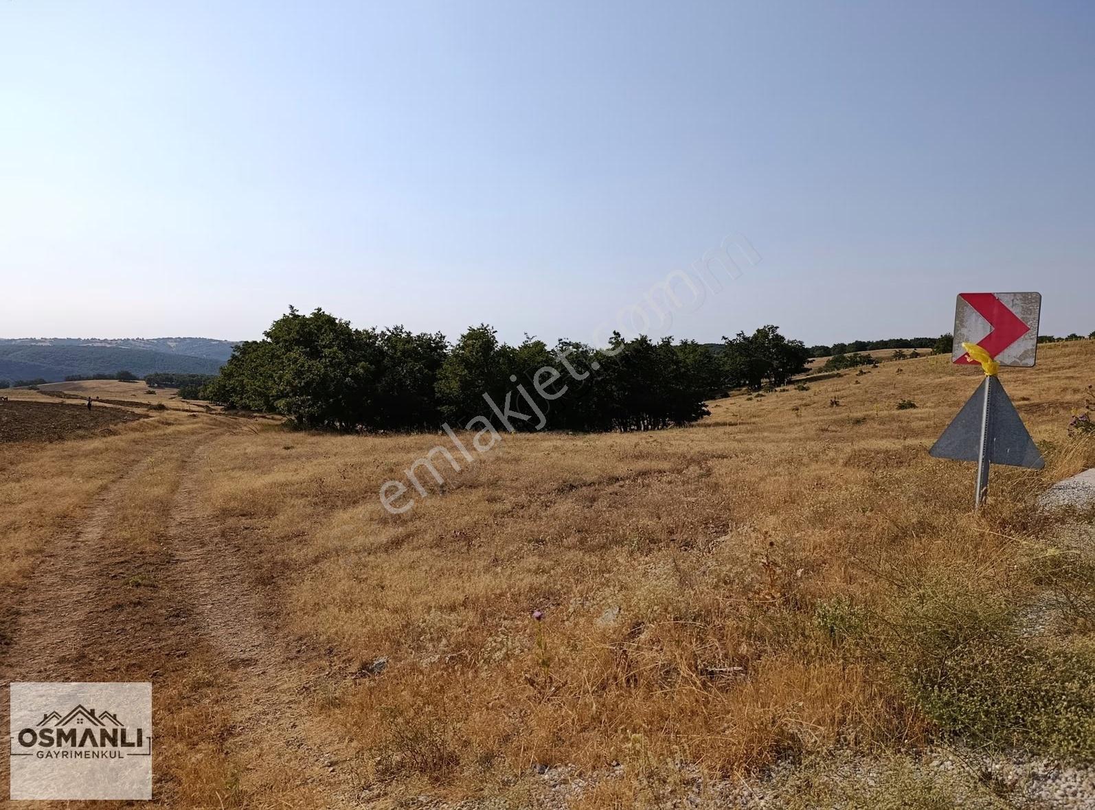 Asfalt Kenrarı, Doğa İçerisinde,4.200 M2 Satılık Arazi - Görsel 8