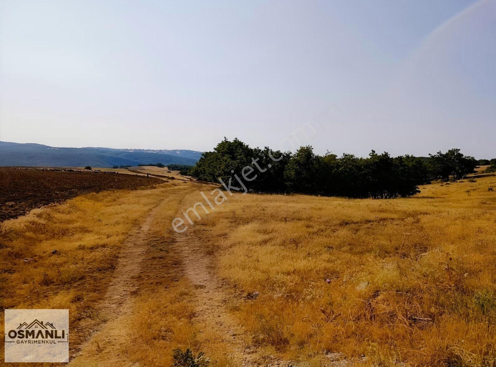 Asfalt Kenrarı, Doğa İçerisinde,4.200 M2 Satılık Arazi - Görsel 15
