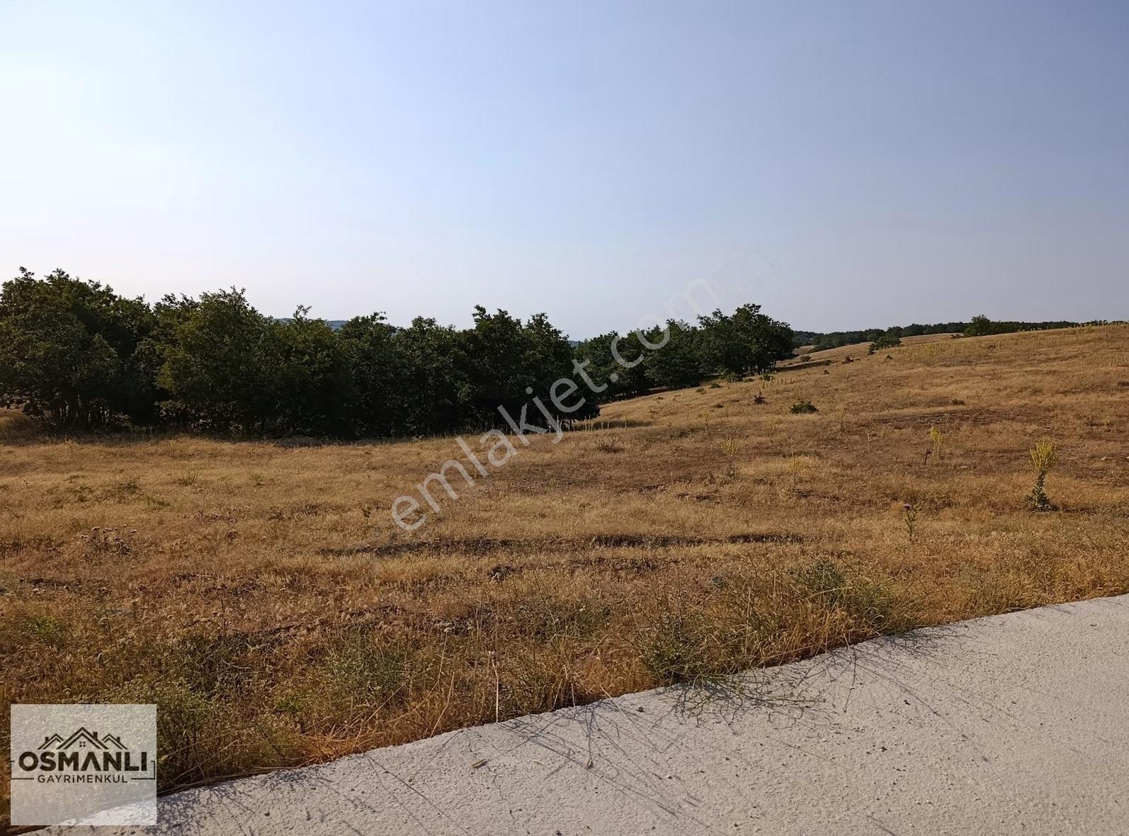 Asfalt Kenrarı, Doğa İçerisinde,4.200 M2 Satılık Arazi - Görsel 25