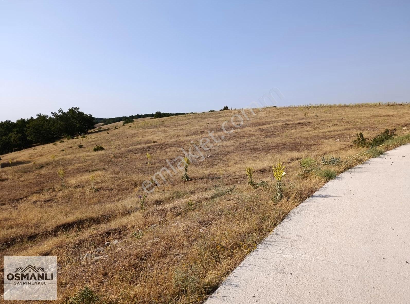 Asfalt Kenrarı, Doğa İçerisinde,4.200 M2 Satılık Arazi - Görsel 21