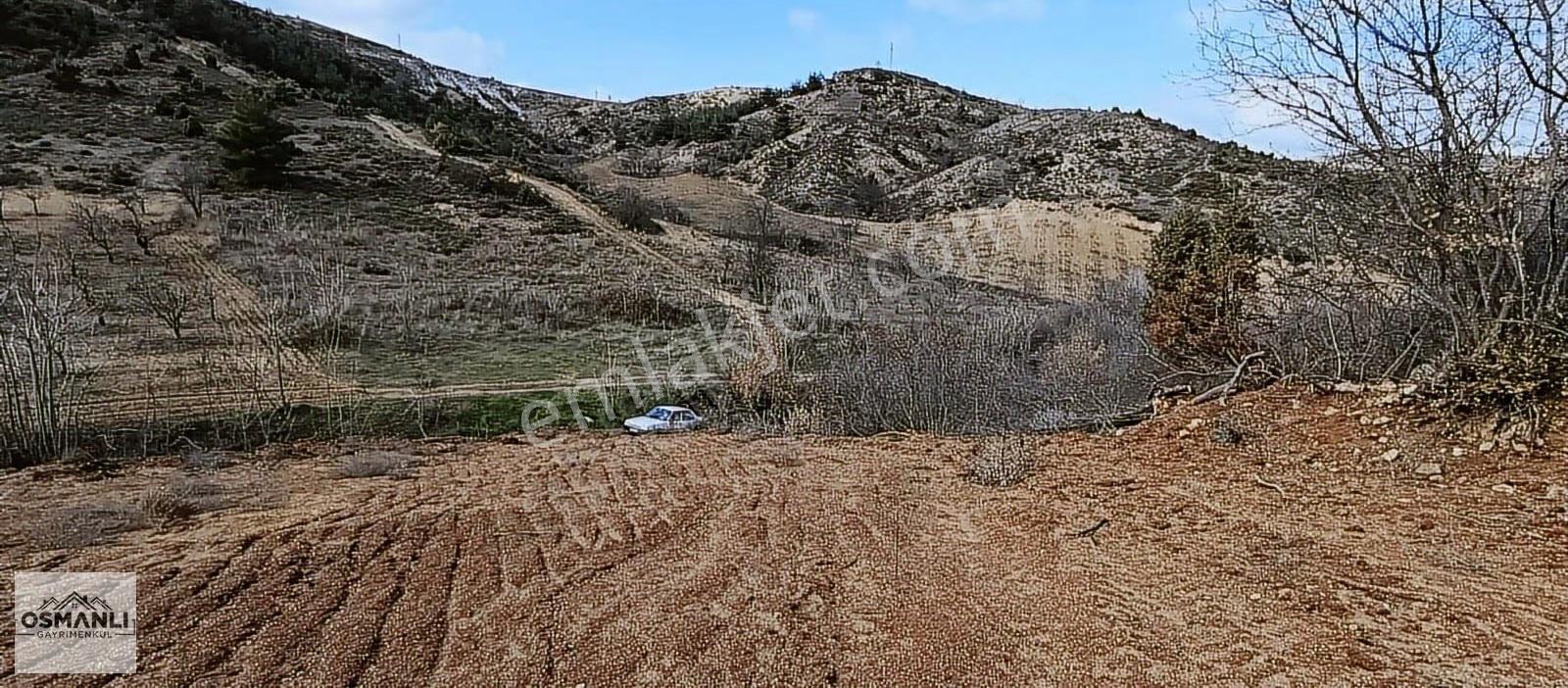 Küre Köyüne 5 Dk Mesafede İçi Düzeltilmiş 1.450 M2 Satılık Arazi - Görsel 16