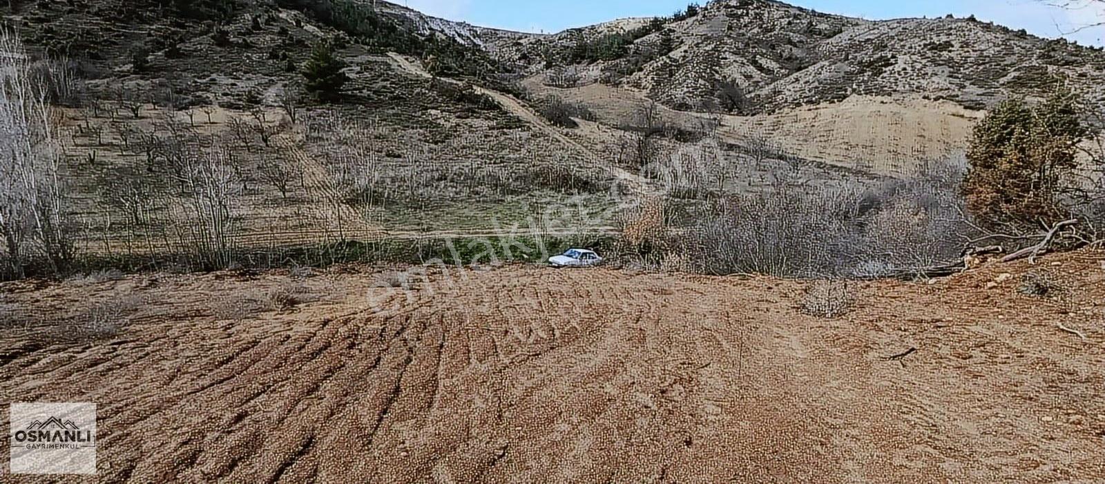 Küre Köyüne 5 Dk Mesafede İçi Düzeltilmiş 1.450 M2 Satılık Arazi - Görsel 8